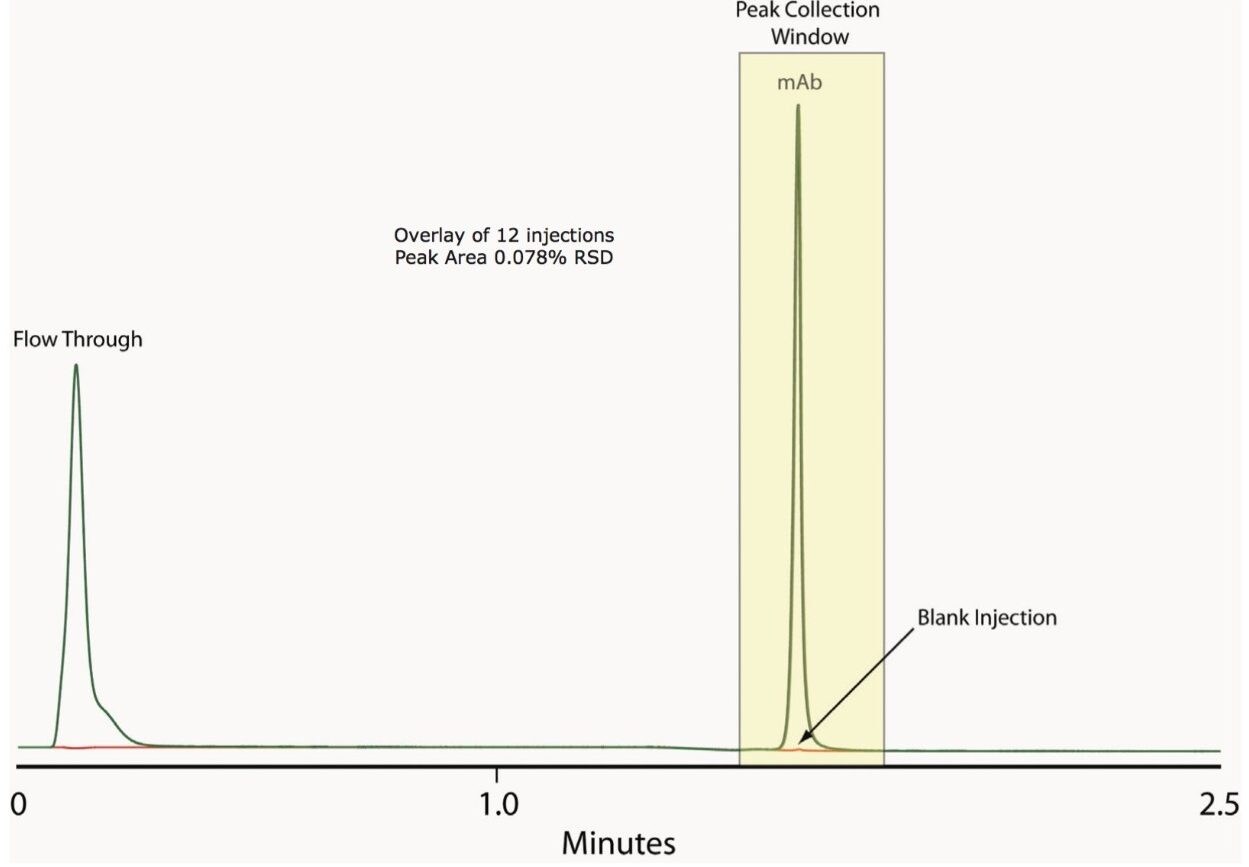 Overlay of 12 1D Protein A affinity chromatograms of trastuzumab, 1 mg/mL in cell culture media (DMEM) with 1 mg/mL BSA