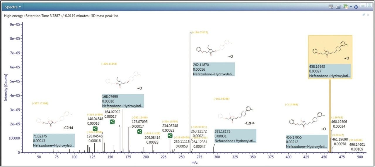  Comprehensive structural elucidation