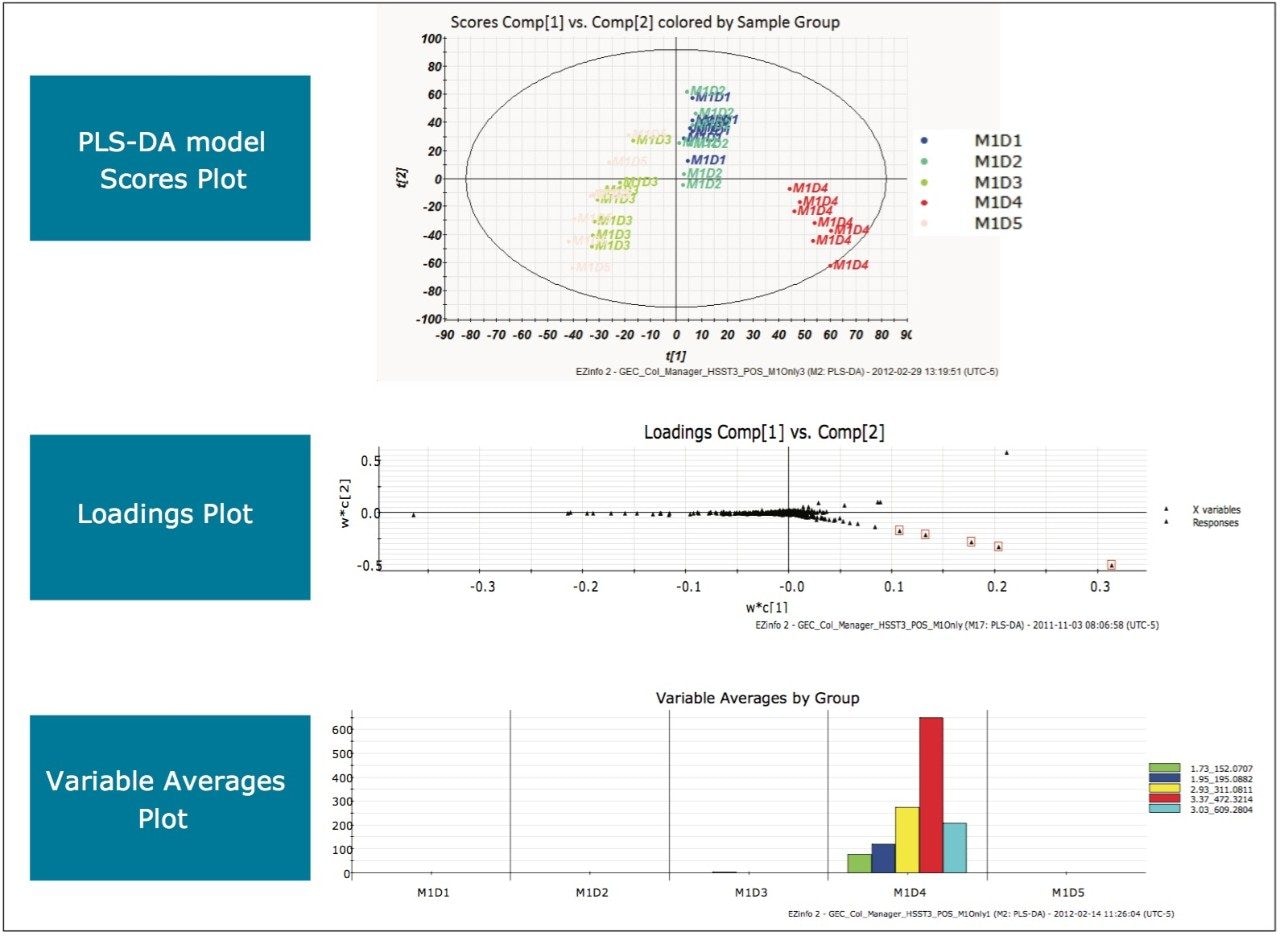 Scores, loadings, and variable average plots