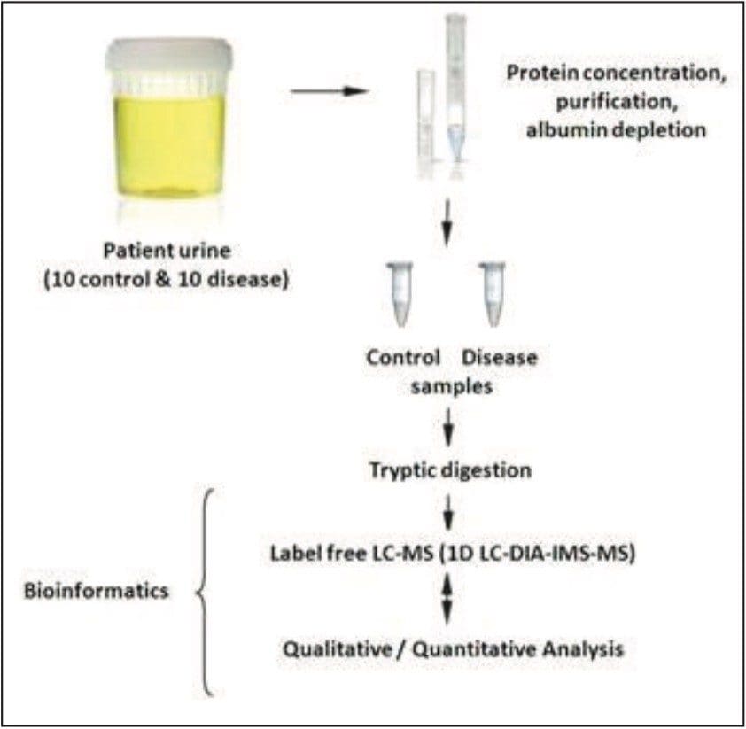 Experimental design study for urinary proteins.