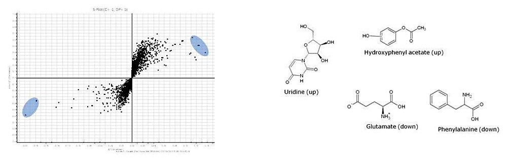 Metabolite loadings plot from OPLS-DA analysis of disease pre-treated versus control subjects based in positive ion mode. 