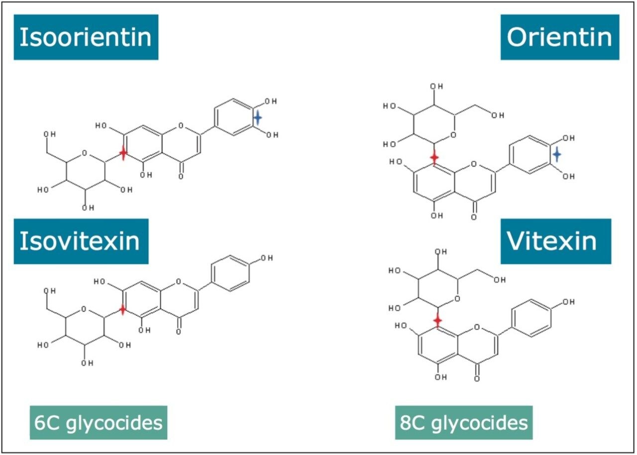 Structures of 6C and 8C glycocides