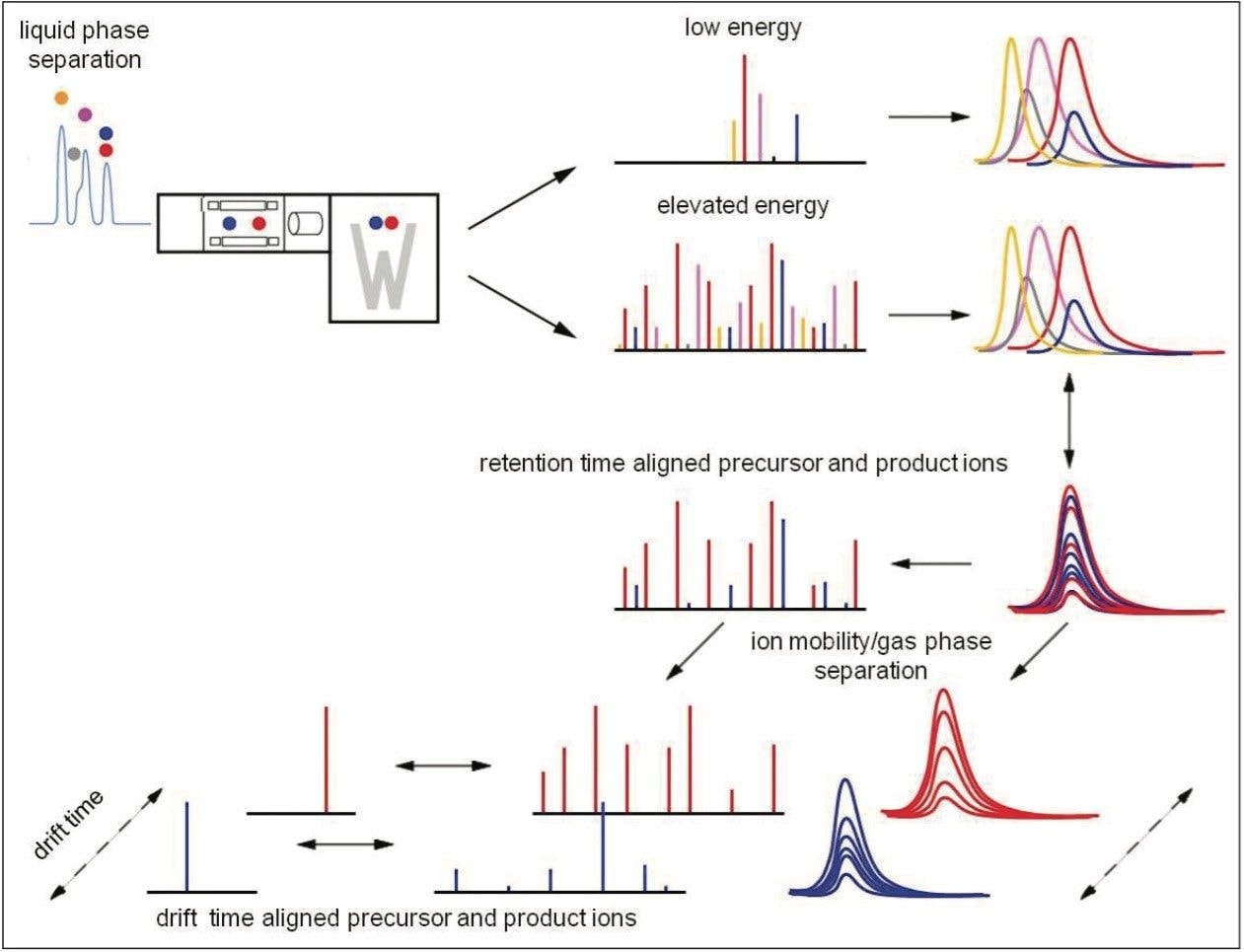 Retention and drift time principle ion mobility enabled data-independent LC-HDMSE analysis.