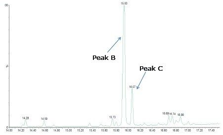 TIC for nylon extract.