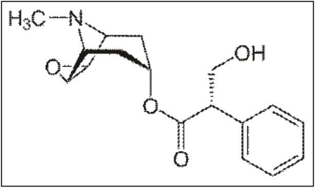 Molecular structure of scopolamine