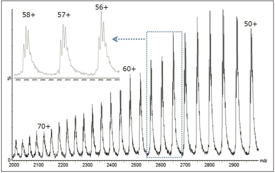 Routine Generation of Biotherapeutic Antibody Glycoprotein Profiles by