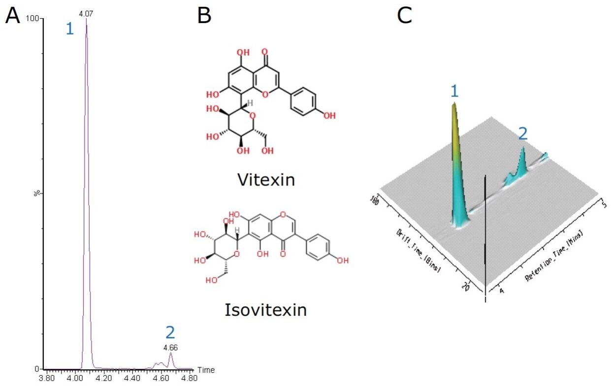 UPLC/SYNAPT G2 HDMS of Ficus sp. extract.  