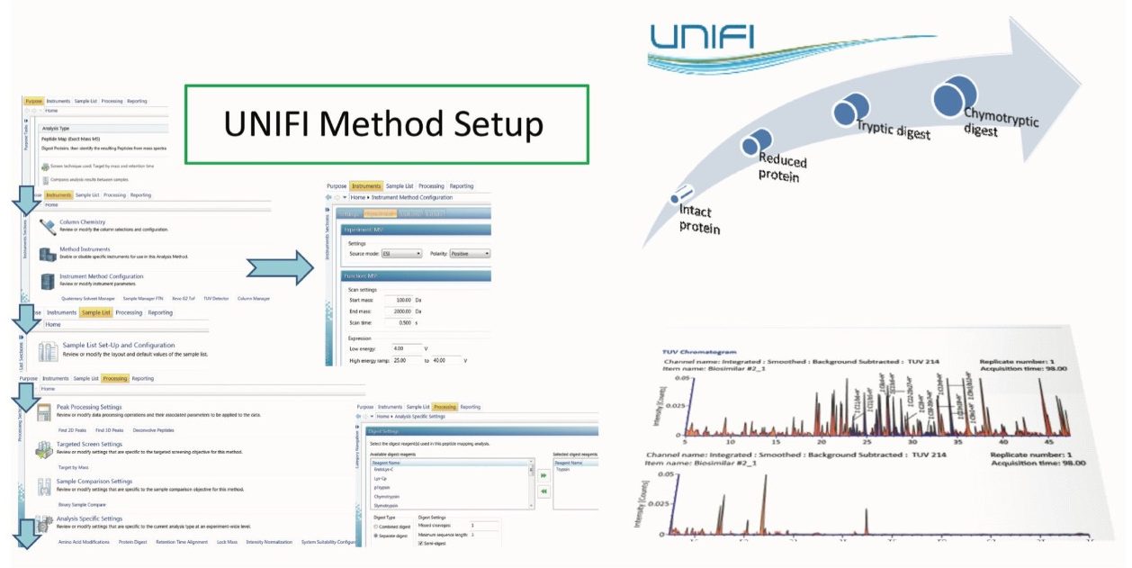 Integrated UPLC-MS analysis of monoclonal antibody.