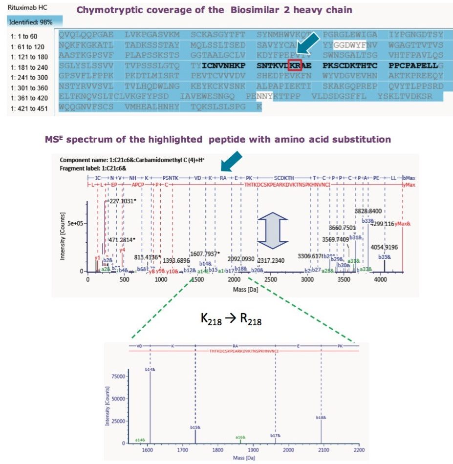 Chymotryptic digest analysis shows MSE data confirm a single amino acid substitution (K → R) in Biosimilar 2.