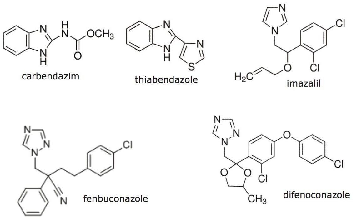 Structures of conazole fungicides.