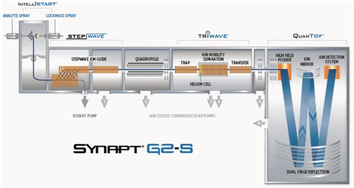 Schematic of SYNAPT G2-S