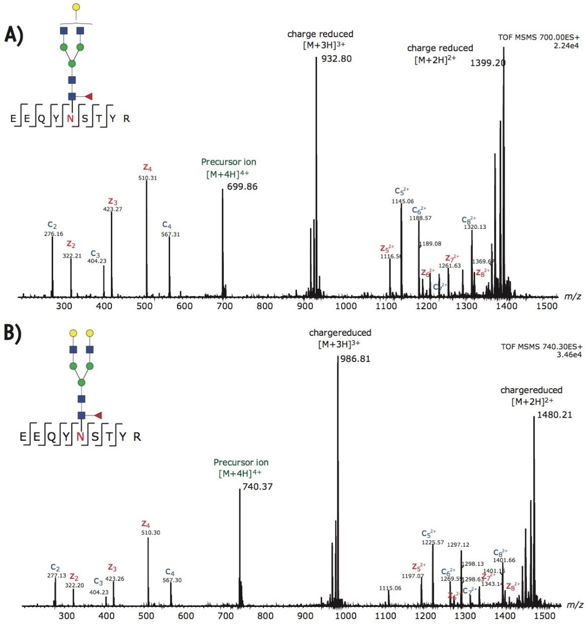 Two additional ETD spectra from 4+ precursors of G1F (A) and G2F (B) containing glycopeptides. 