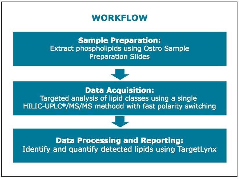 Workflow for the targeted analysis of phospholipids in human plasma.