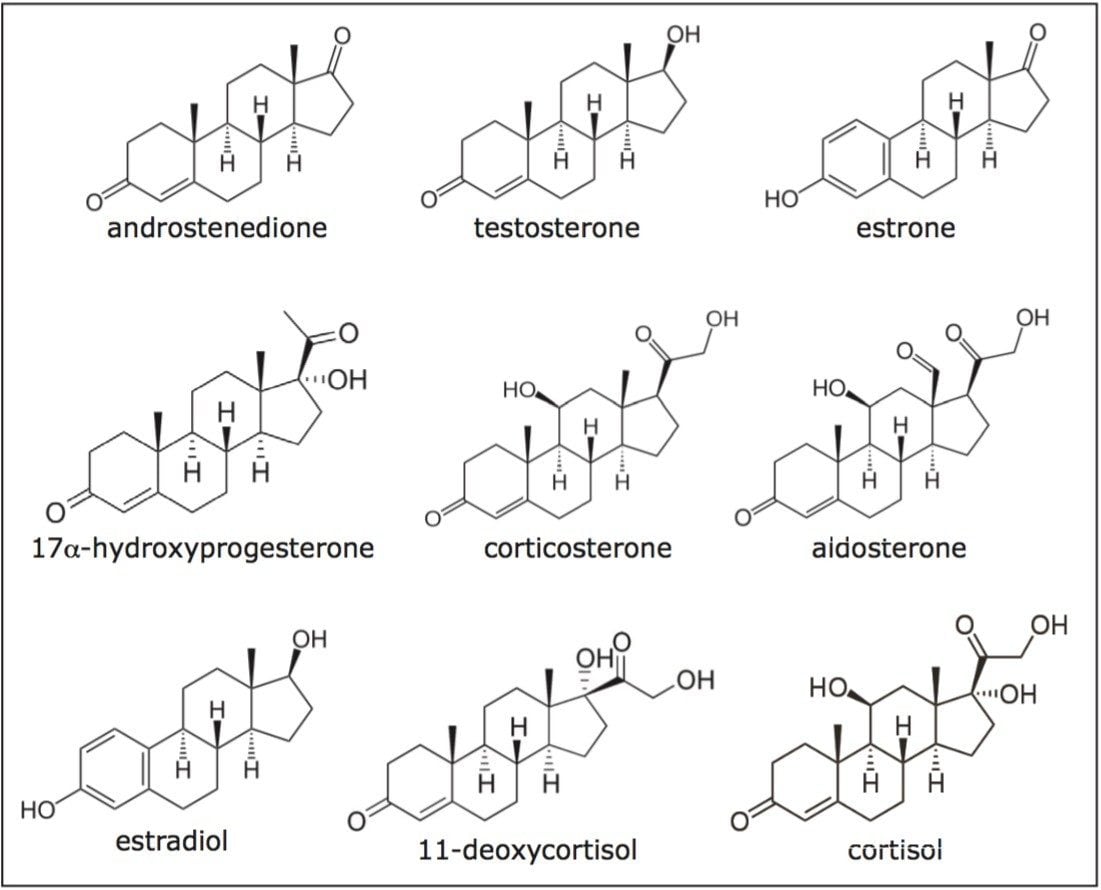 Steroid structures for the current investigation