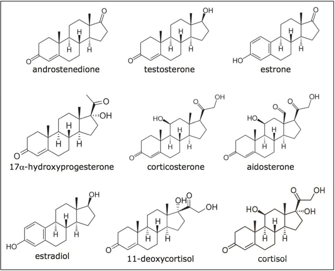 Analysis of Steroids by UltraPerformance Convergence Chromatography