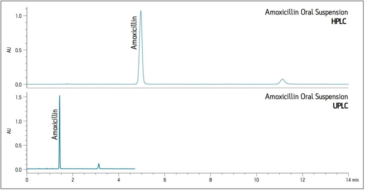 Chromatograms of amoxicillin oral suspension