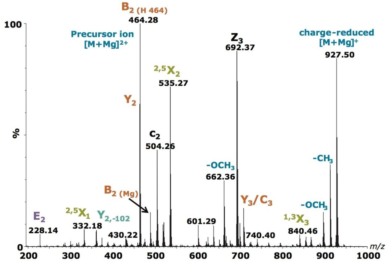 ETD mass spectrum of [M+Mg]2+, m/z 463.7 from LNT.
