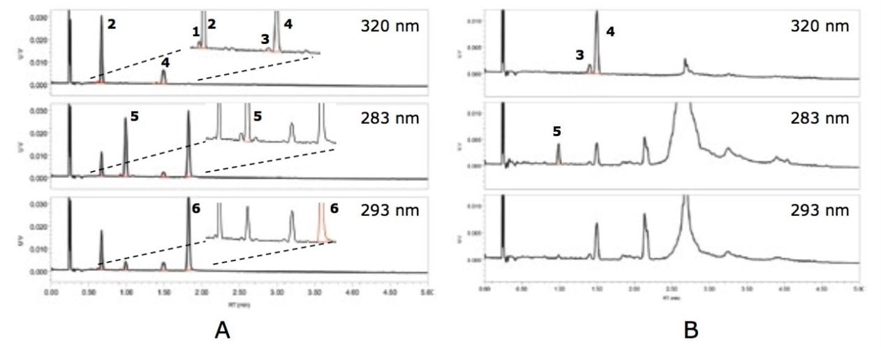 Typical chromatograms of vitamins A and E by UPC2 with PDA detection. 