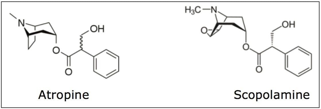 Structures of atropine and scopolamine.