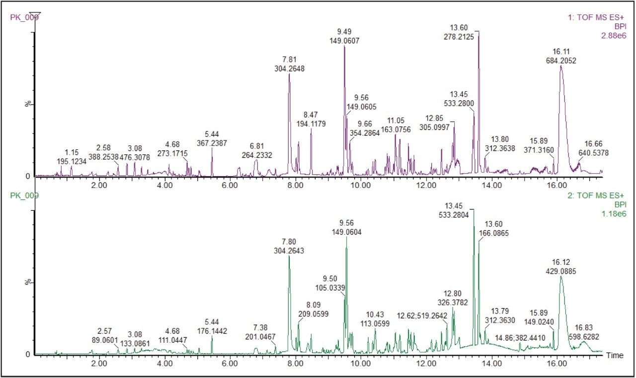 Base ion chromatogram