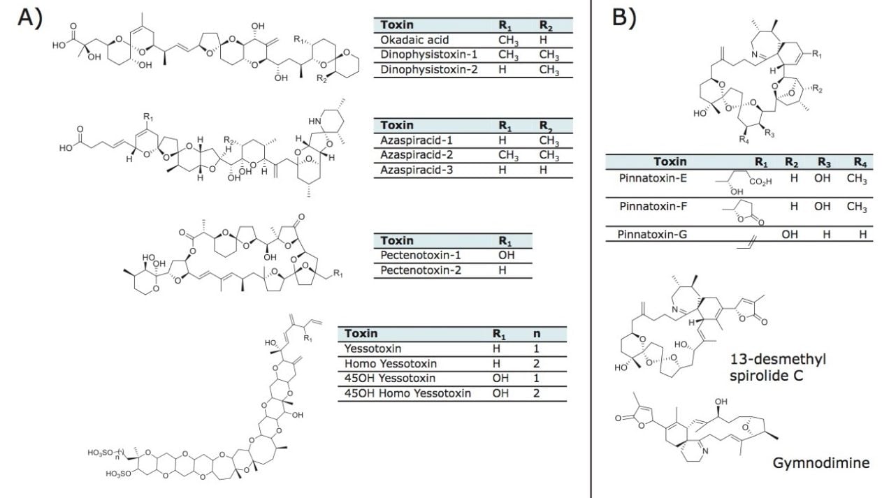 Figure 1. Chemical structure of a) regulated toxins and b) non-regulated cyclic imines.
