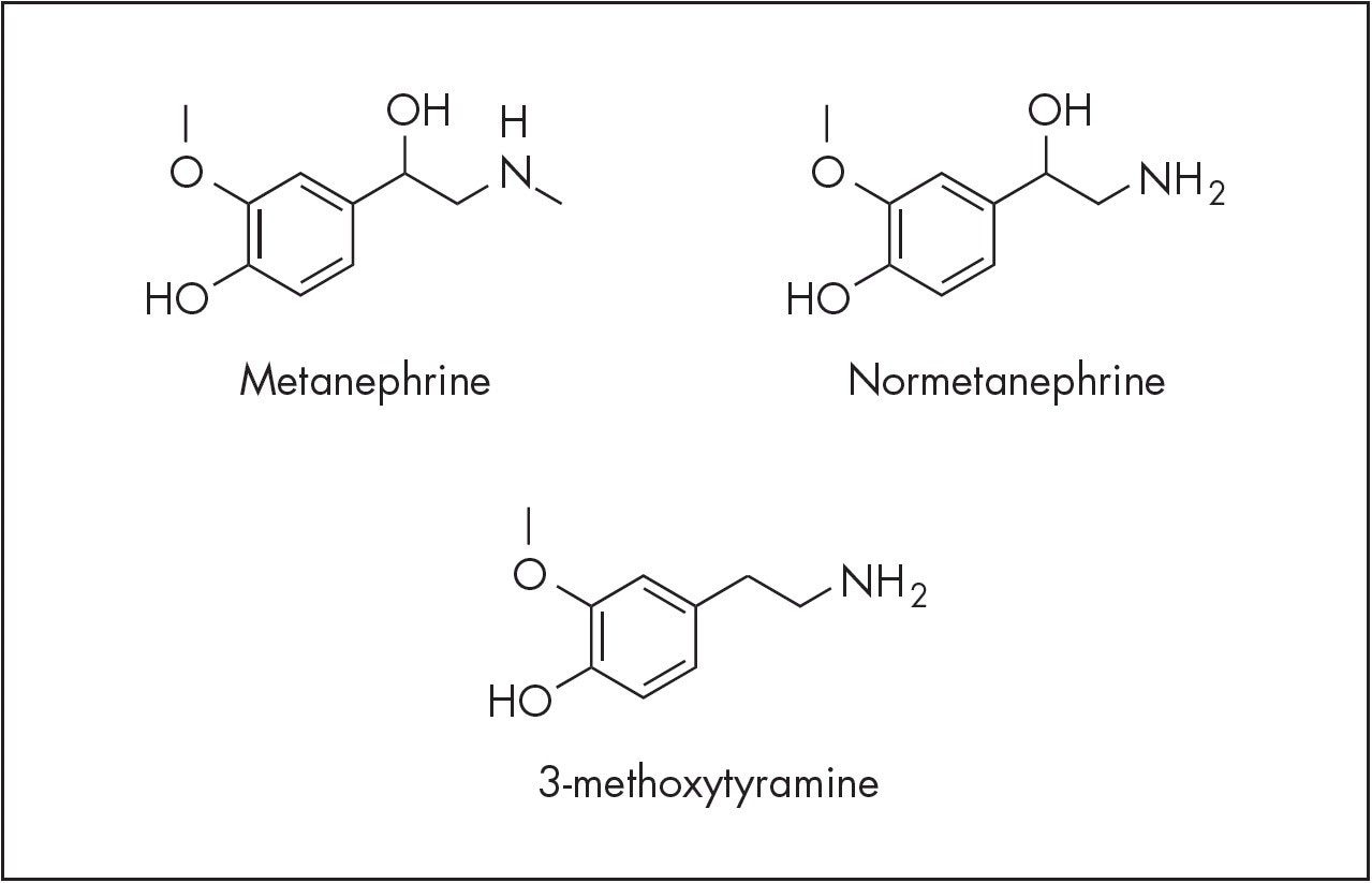 Structures of biogenic amines