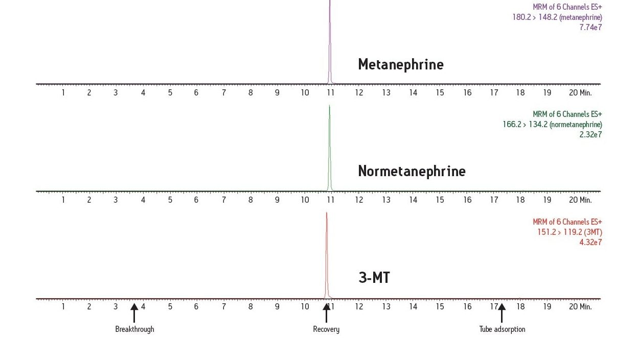 Recovery determination of online SPE method for biogenic amines 