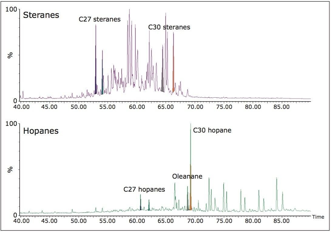 Sterane and hopane GC-MS SIR data