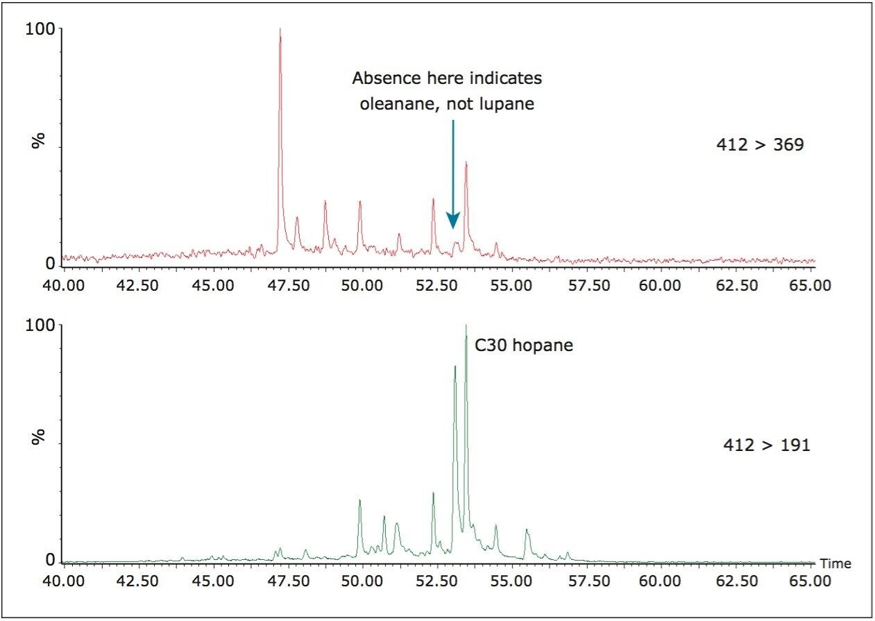 APGC-MS/MS chromatogram confirming the absence of lupane