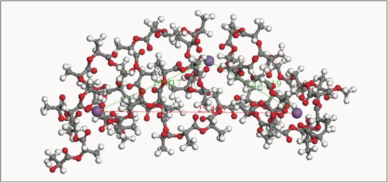 . 3D representation calculated by the authors for the triply charged 28-mer polylactide.