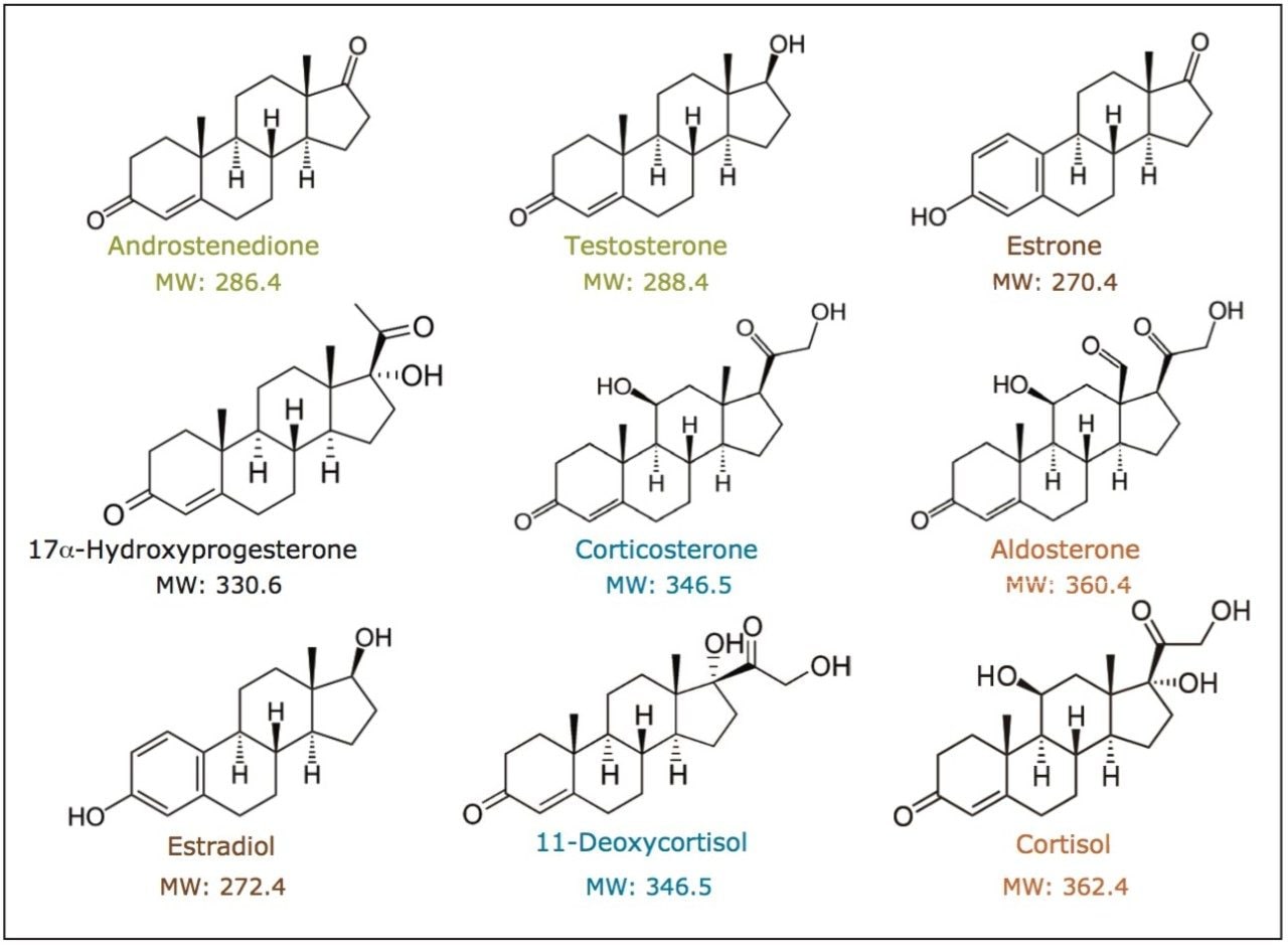Structures of steroids evaluated