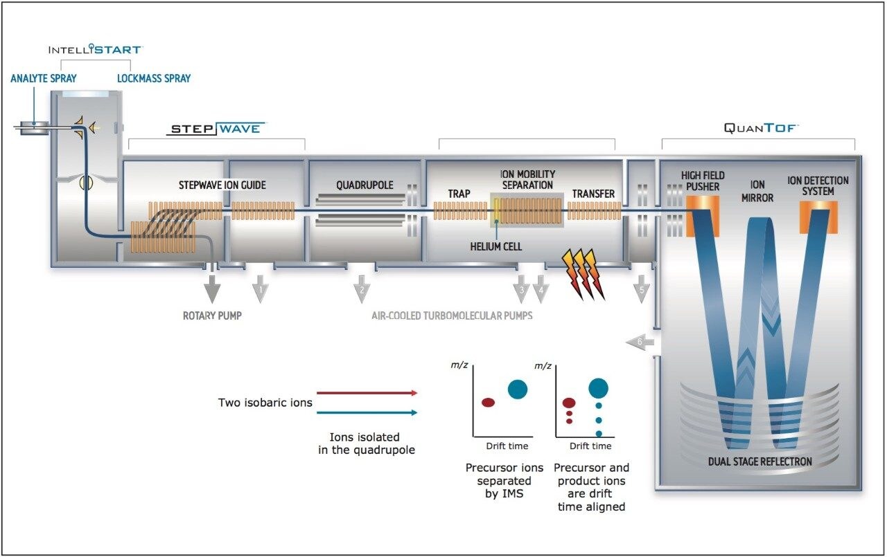 Schematic of the SYNAPT G2-S HDMS System configuration 