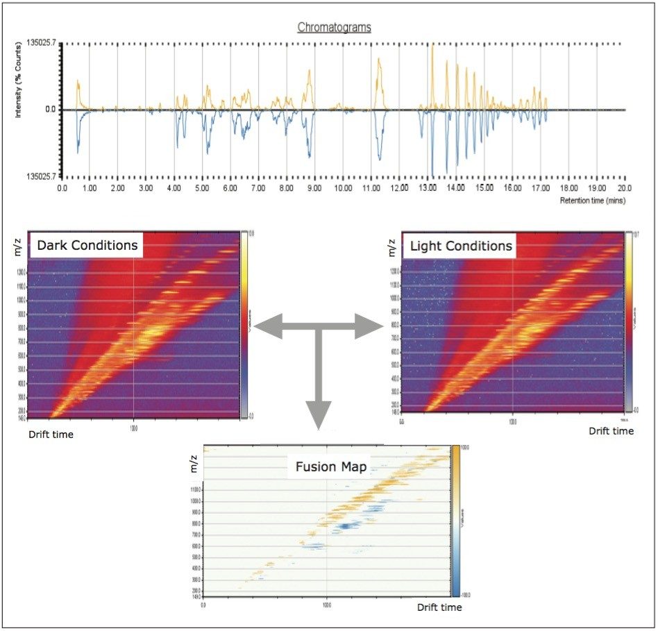 Representative UPLC/UPLC/MS chromatograms