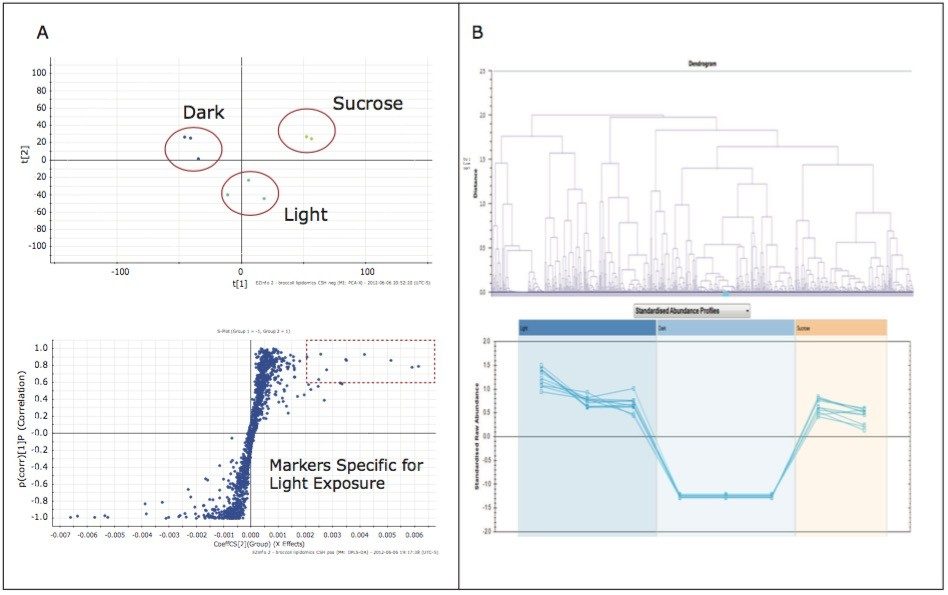 principal component analysis and correlation analysis 