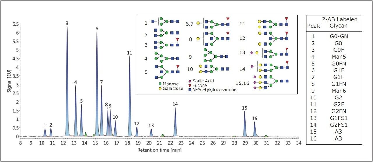  HILIC-FLR analysis 