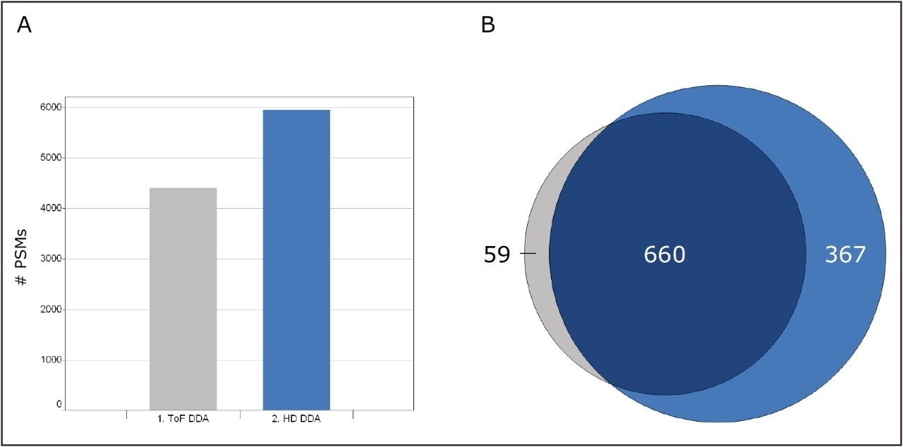 Number of identified E.coli peptides (A) and protein identifications Venn intersections 