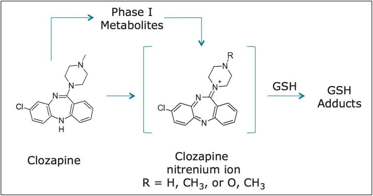 The proposed biotransformation pathways for clozapine phase I and phase II metabolism.