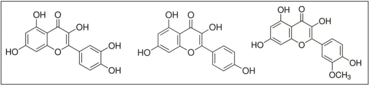  Chemical structures of quercetin, kaempferol, and isorhamnetin