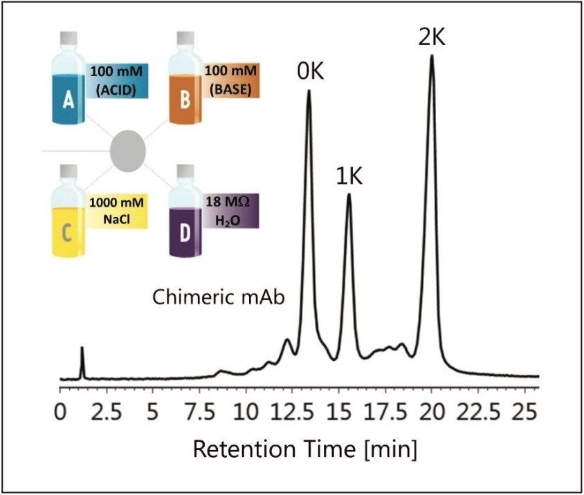  Separation of C-terminal lysine truncation variants in a chimeric monoclonal antibody