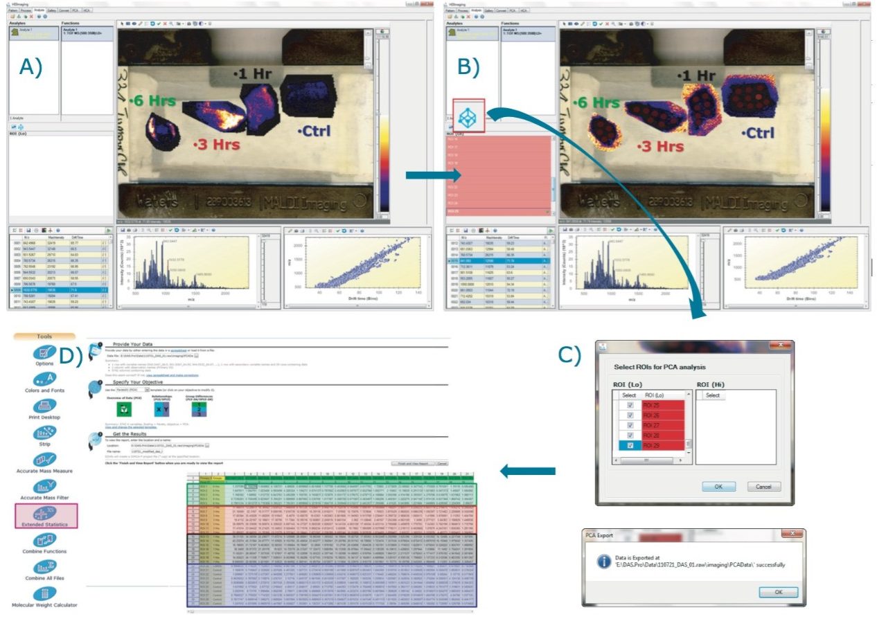 Workflow with A) MALDI imaging processed data loaded in HDI; B) Multiple ROIs drawn for each tissue section; C) Average normalized intensities calculated; D) View of the csv matrix where intensities are reported for each entry (m/z, dt) and ROI - EZinfo is launched directly from MassLynx Software.