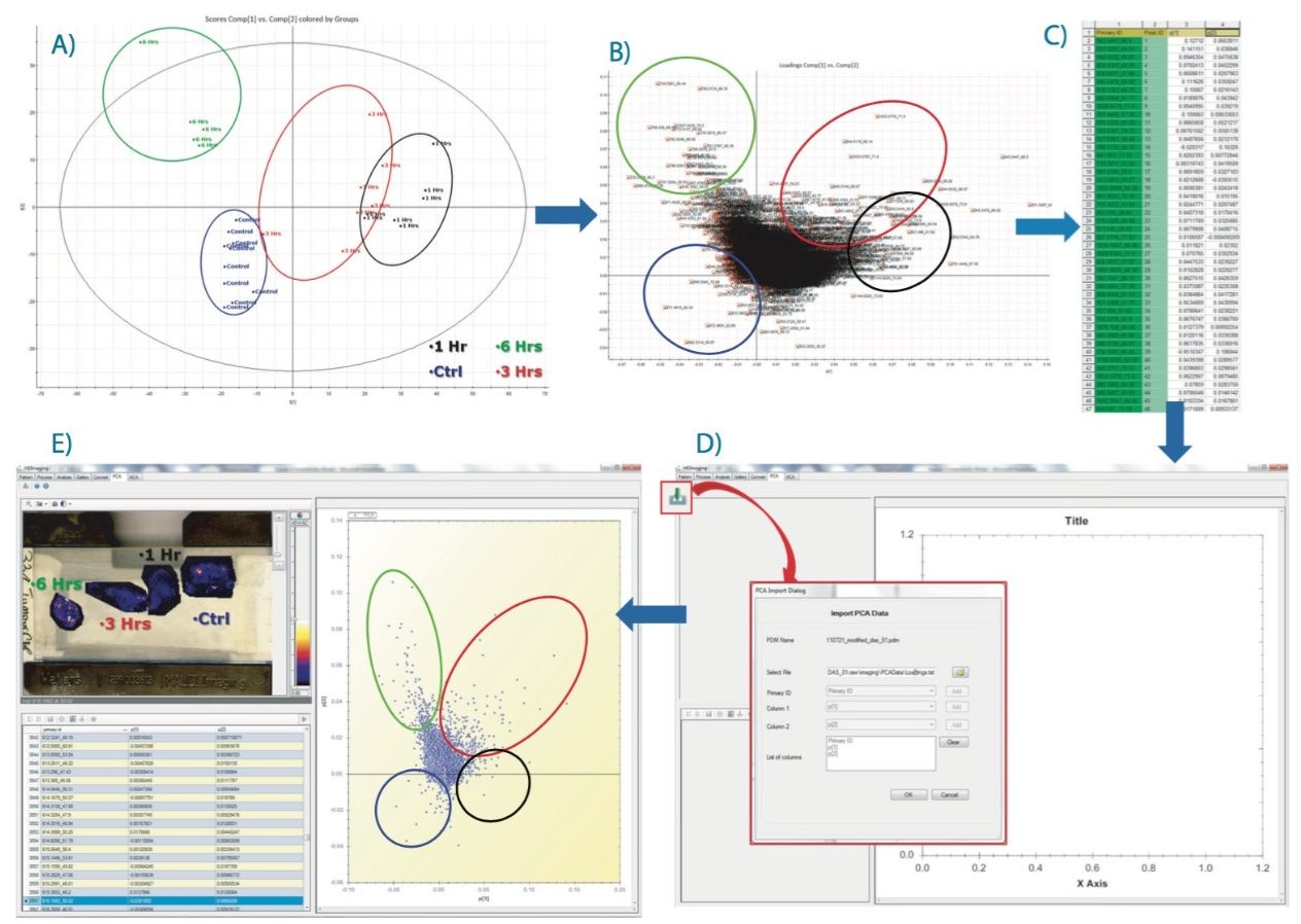 Workflow where A) PCA scores distribution is shown, and B) the resultant loadings distribution is displayed and the all variables are selected to generate the table in C). D) Route where the table is imported back in HDI Software. E) Loadings plot loaded in HDI Software with corresponded ion images displayed.