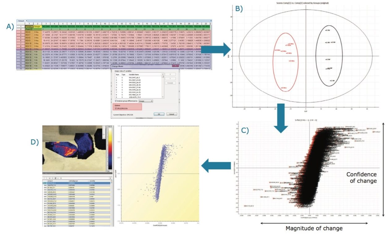 Workflow where A) Amended data matrix with two groups defined; B) OPLS/OPLS-DA scores plot is shown; C) the resultant S-plot is displayed and the all variables are selected to generated the table; D) Loadings plot loaded in HDI Software with corresponded ion images displayed.