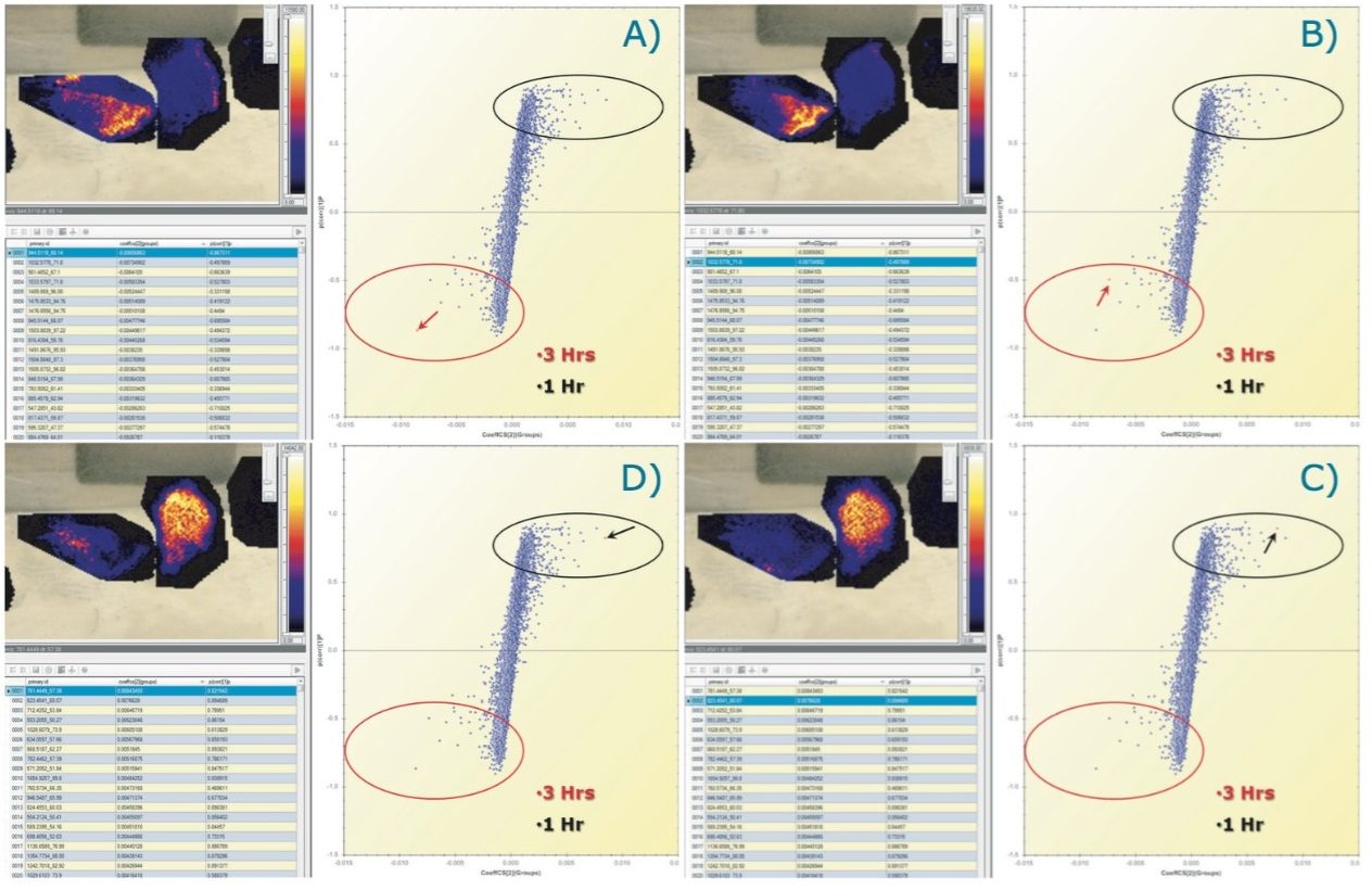 Querying of the OPLS/OPLS-DA S-plot to display ion images of the analytes that differentiate the groups. Selection of tryptic peptides more expressed in the 3 hr tissue section A) (m/z_dt) 944.51_68 and B) (m/z_dt) 1032.58_72. Selection of tryptic peptides more expressed in the 1 hr tissue section C) (m/z_dt) 823.45_60 and D) (m/z_dt) 781.45_57. 