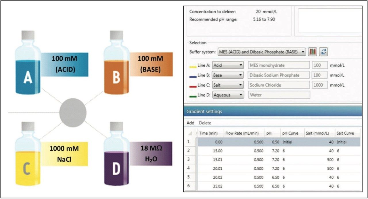 n example of the intuitive interface for programming pH or salt gradients rendered by the Auto•Blend Plus Technology
