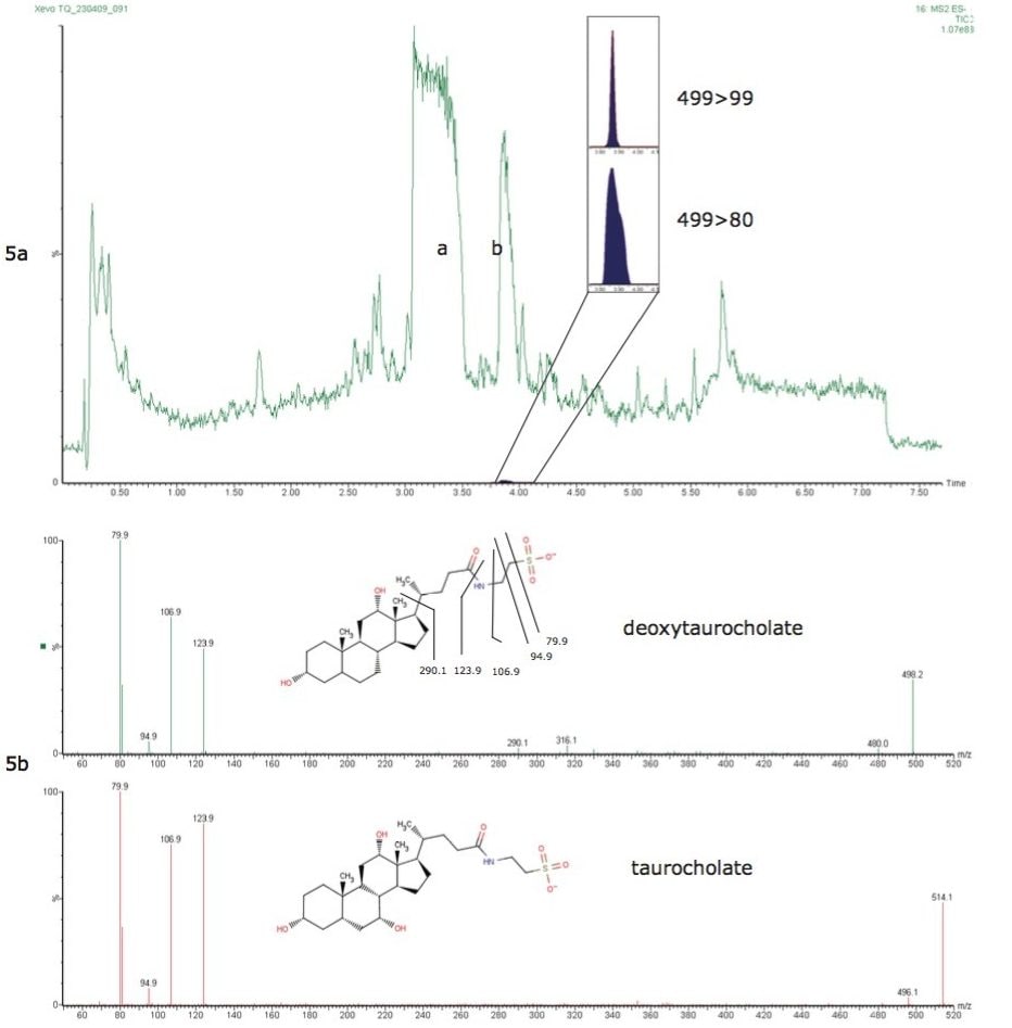 RADAR dual scan-MRM data for salmon liver with taurocholate