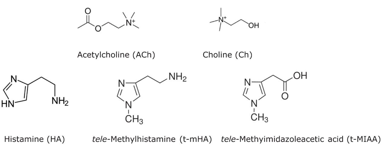 Structures of ACh, HA, and their respective metabolites