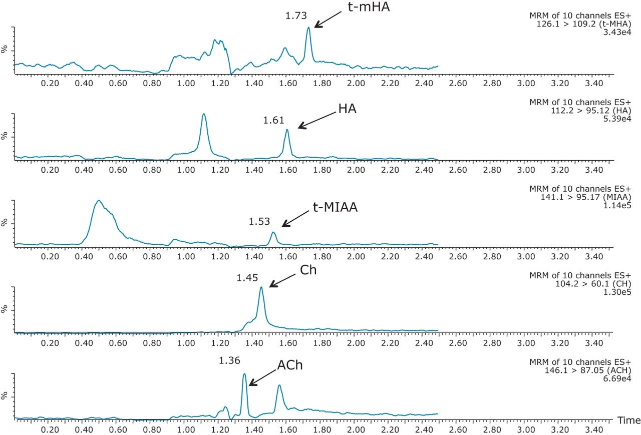 Representative chromatograms 