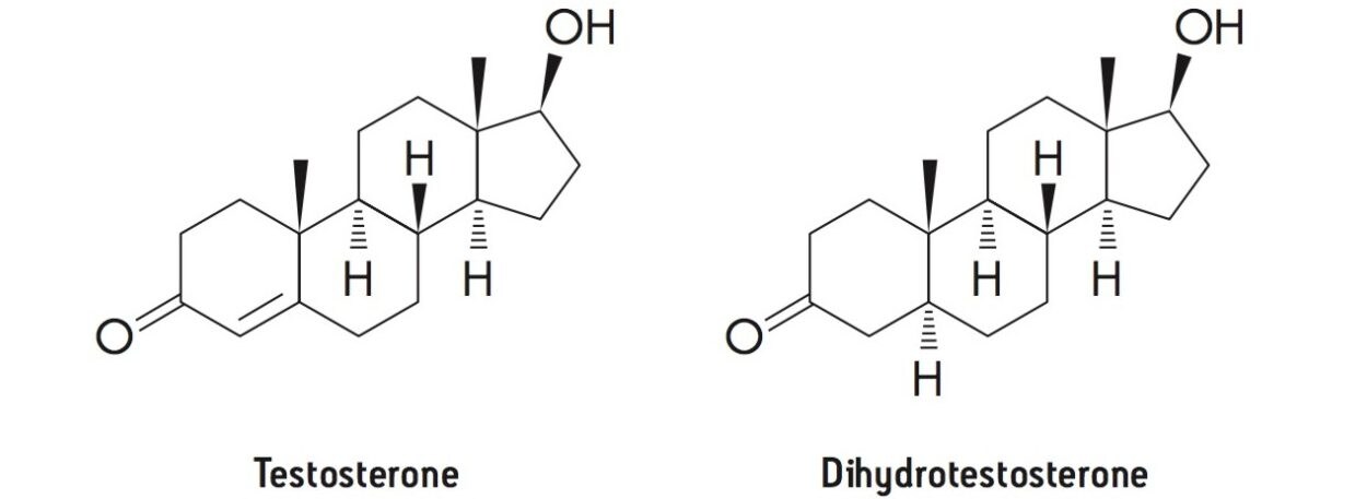 Structure of Androgen Hormones.
