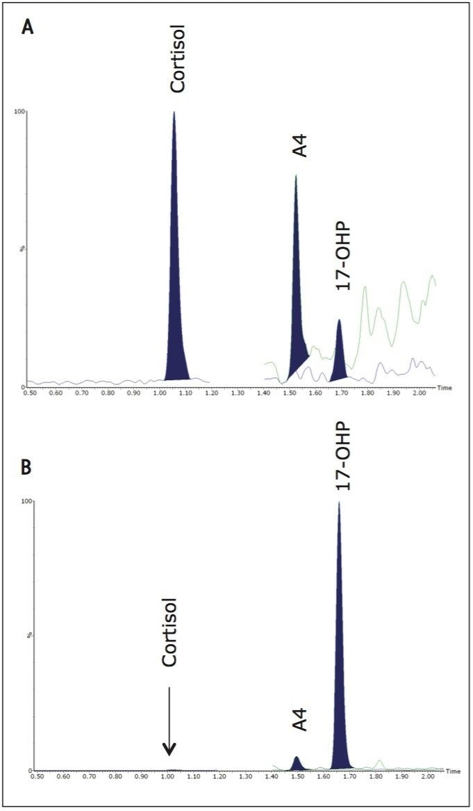 extracted ion chromatograms of DBS 17-OHP