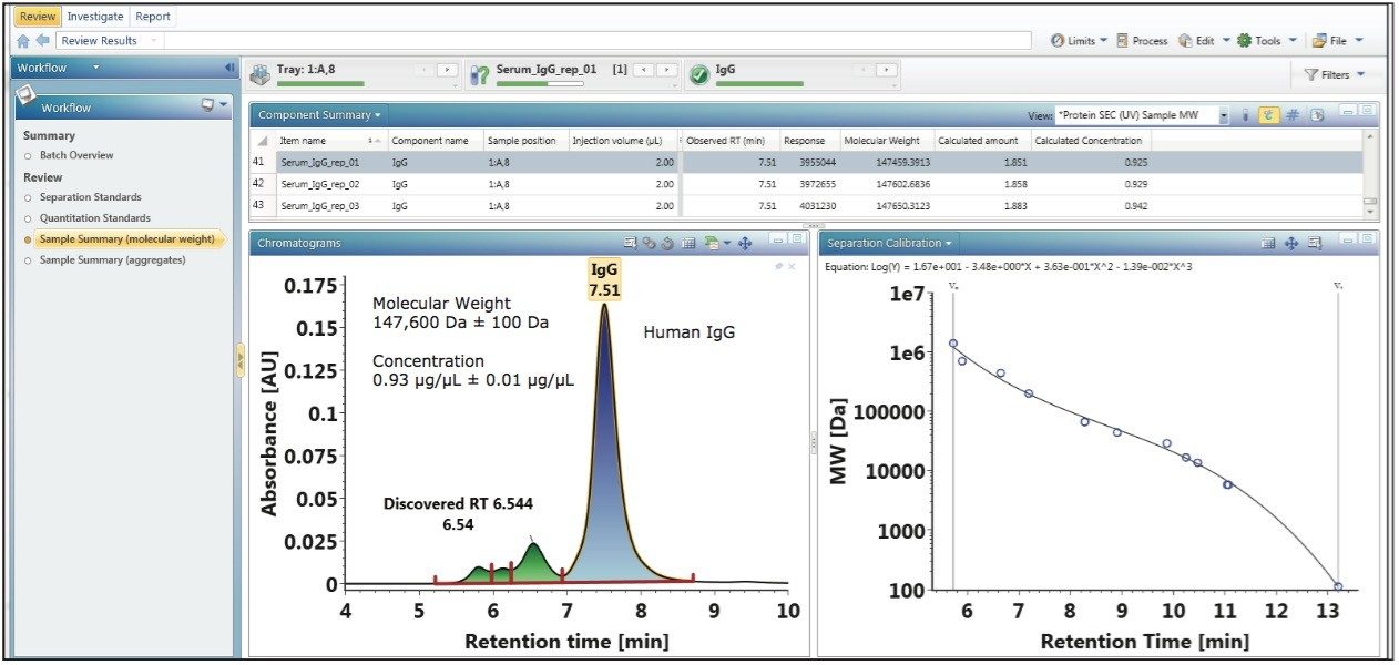 UNIFI reports the concentration, amount, and molecular weight of a human IgG 